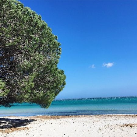 Appartement Proche Des Plus Belles Plages Porto Vecchio Esterno foto