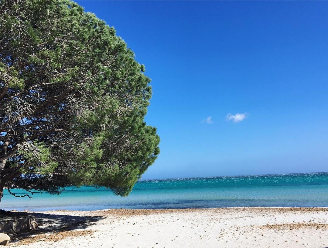 Appartement Proche Des Plus Belles Plages Porto Vecchio Esterno foto