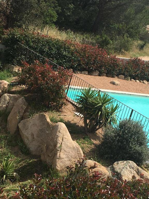 Appartement Proche Des Plus Belles Plages Porto Vecchio Esterno foto