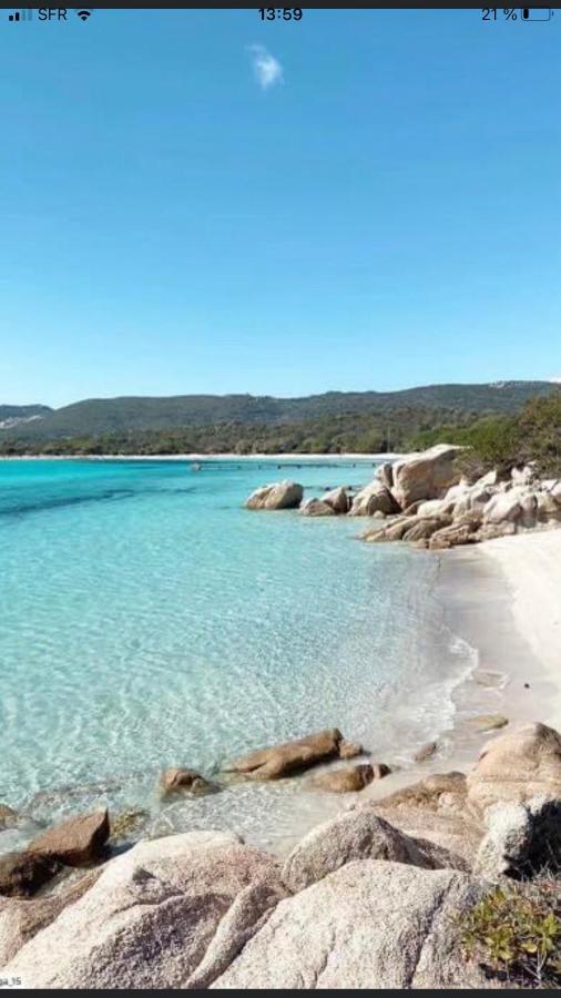 Appartement Proche Des Plus Belles Plages Porto Vecchio Esterno foto